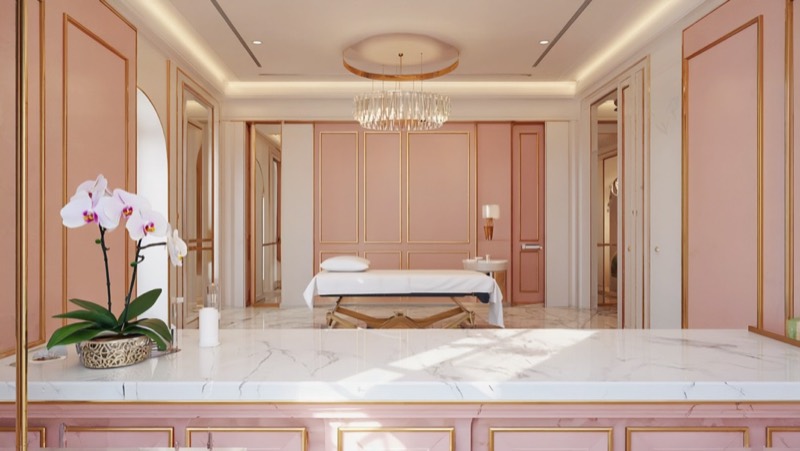 Demo brand direction — serene blush spa room
