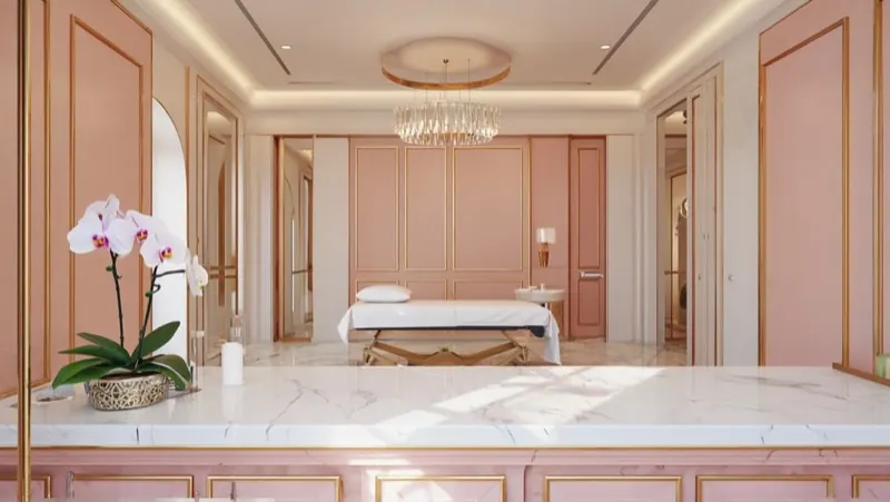 Demo brand direction — serene blush spa room